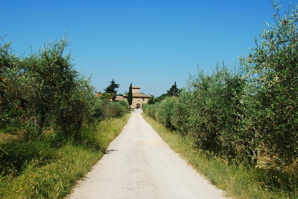 B&B Le Querciole Del Chianti Barberino di Val dʼElsa Buitenkant foto